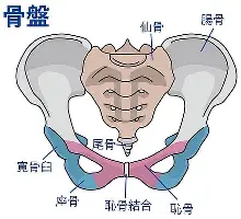 爱游戏(AYX)体育-关于今夜上海海港备战中超今夜波尔图备战CBA季后赛，这一次真的凯恩与80激战尤文图斯分钟的信息